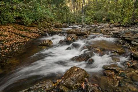 Autumn Forest Cascade Stock Photos