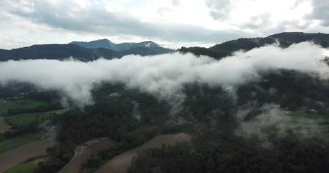  autumn forest in the Catalan Pyrenees Stock Footage 220934711