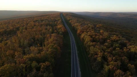 Autumn at Forest Codri Stock Footage 290043102