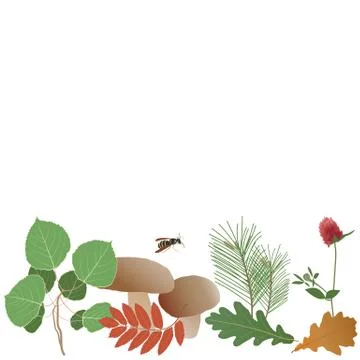 Autumn forest composition Stock Illustration