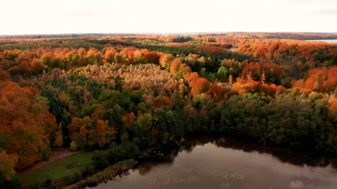 Autumn forest in Denmark Stock Footage 164685941