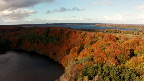 Autumn forest in Denmark Stock Footage 164693807