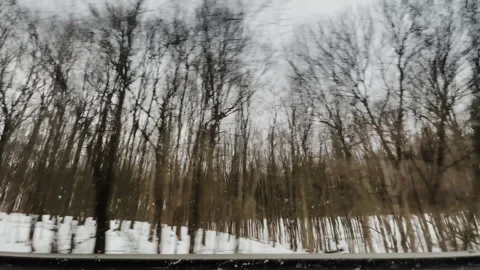 Autumn forest driving a car, trees without leaves,driving in the forest Vídeos de archivo 263673975