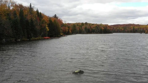 Autumn Forest During Cloudy Day &amp; A Man Paddle-Boarding on The Lake Video stock 96721936