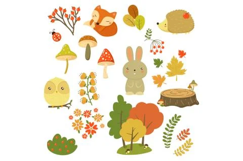 Autumn forest elements set, forest animals, leaves, flowers, berries and 스톡 일러스트