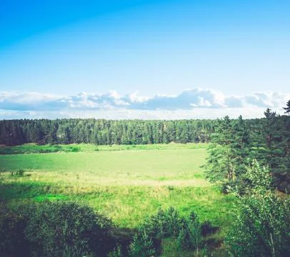 Autumn forest evening Foto stock