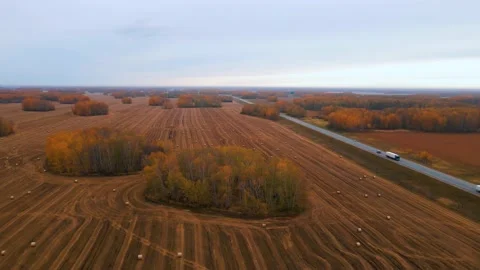 Autumn forest, field, sheaves, view from quadcopter Stock Footage 196906843