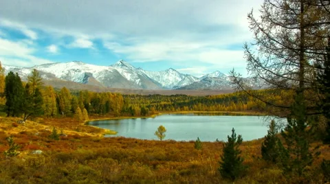 Autumn Forest Stock Footage 44713871