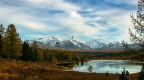 Autumn Forest 스톡 동영상 46732923