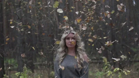 Autumn in the forest Stock Footage 49019524