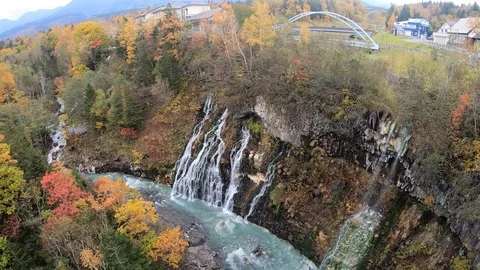 Autumn forest Stock Footage 97766293