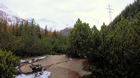 Autumn forest Stock-Footage 103816452