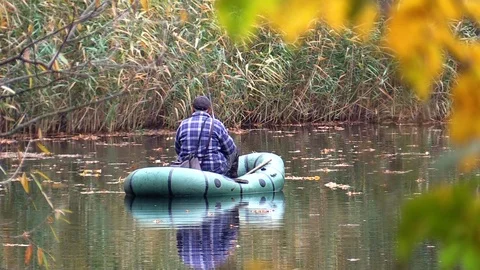 Autumn forest. Stock Footage 119173828