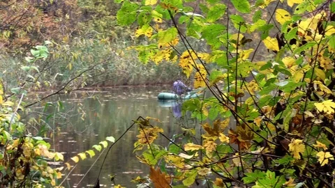 Autumn forest. Stock Footage 119173879