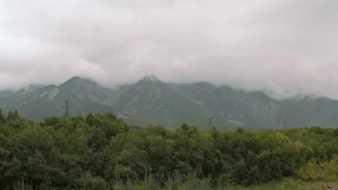 Autumn forest Stock Footage 161669195