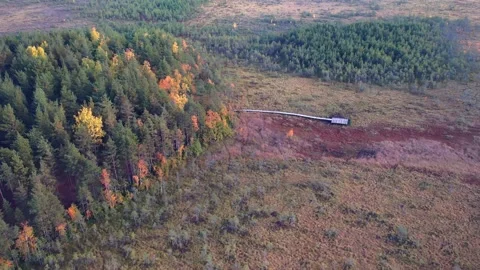 Autumn forest Stock Footage 161758559