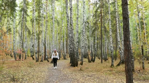 Autumn in the forest. Stock Footage 165073942