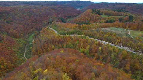 An autumn forest Stock Footage 264400786