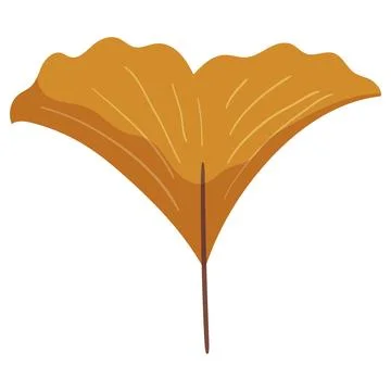 Autumn forest gingo yellow leaf illustration Illustrazione stock