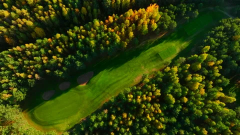 Autumn forest. Golf course in Forest fall. Forest in golden colors of autumn. Stock Footage 219874169