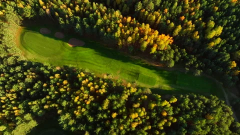 Autumn forest. Golf course in Forest fall. Forest in golden colors of autumn. Stock Footage 219874937