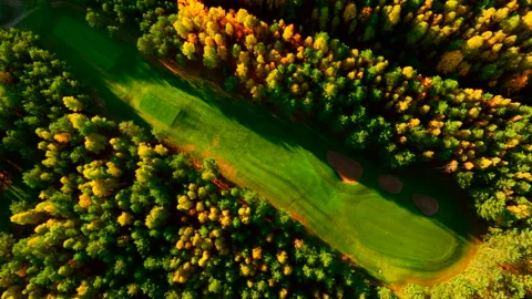 Autumn forest. Golf course in Forest fall. Forest in golden colors of autumn. Stock Footage 219875110