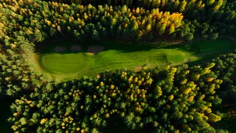 Autumn forest. Golf course in Forest fall. Forest in golden colors of autumn. Stock Footage 219875290
