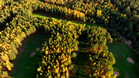 Autumn forest. Golf course in Forest fall. Forest in golden colors of autumn. Stock Footage 219875438