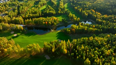 Autumn forest. Golf course in Forest fall. Forest in golden colors of autumn. Stock Footage 219878433