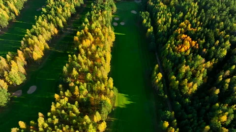Autumn forest. Golf course in Forest fall. Forest in golden colors of autumn. Stock Footage 219880029