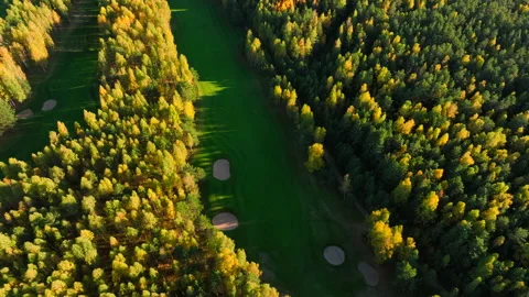 Autumn forest. Golf course in Forest fall. Forest in golden colors of autumn. Stock Footage 219880033