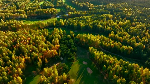 Autumn forest. Golf course in Forest fall. Forest in golden colors of autumn. Stock Footage 219880586