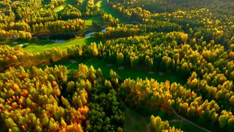 Autumn forest. Golf course in Forest fall. Forest in golden colors of autumn. Stock Footage 219880836