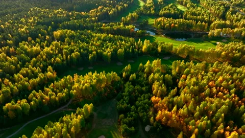 Autumn forest. Golf course in Forest fall. Forest in golden colors of autumn. Stock Footage 219880952