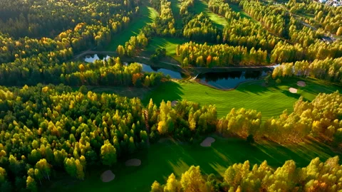 Autumn forest. Golf course in Forest fall. Forest in golden colors of autumn. Stock Footage 219882038