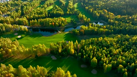 Autumn forest. Golf course in Forest fall. Forest in golden colors of autumn. Stock Footage 219882427
