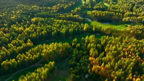 Autumn forest. Golf course in Forest fall. Forest in golden colors of autumn. Stock Footage 219883253