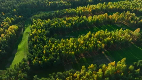 Autumn forest. Golf course in Forest fall. Forest in golden colors of autumn. Stock Footage 219884871