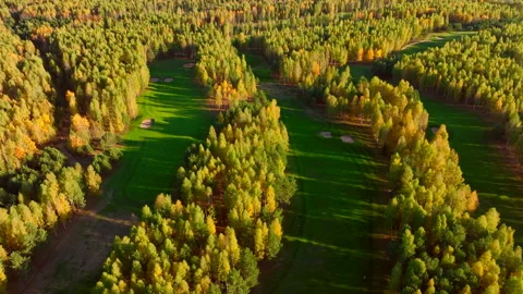 Autumn forest. Golf course in Forest fall. Forest in golden colors of autumn. Stock Footage 219889613