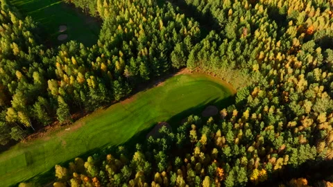 Autumn forest. Golf course in Forest fall. Forest in golden colors of autumn. Stock Footage 219889662