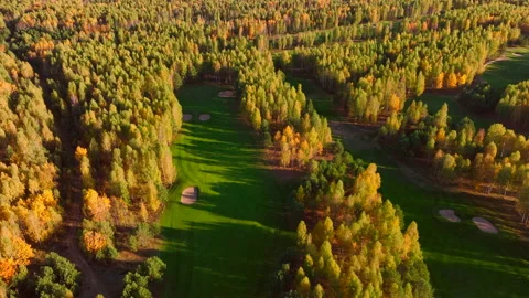 Autumn forest. Golf course in Forest fall. Forest in golden colors of autumn. Stock Footage 219889772