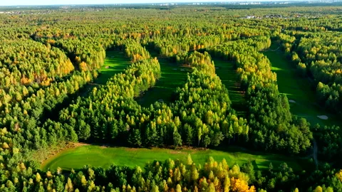 Autumn forest. Golf course in Forest fall. Forest in golden colors of autumn. Stock Footage 219890698