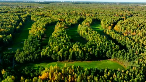 Autumn forest. Golf course in Forest fall. Forest in golden colors of autumn. Stock Footage 219890761