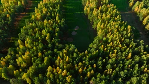Autumn forest. Golf course in Forest fall. Forest in golden colors of autumn. Stock Footage 219898558