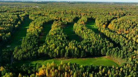 Autumn forest. Golf course in Forest fall. Forest in golden colors of autumn. Stock Footage 219898958