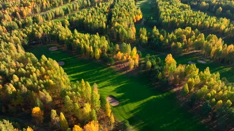 Autumn forest. Golf course in Forest fall. Forest in golden colors of autumn. Stock Footage 219898972