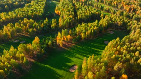 Autumn forest. Golf course in Forest fall. Forest in golden colors of autumn. Stock Footage 219899139