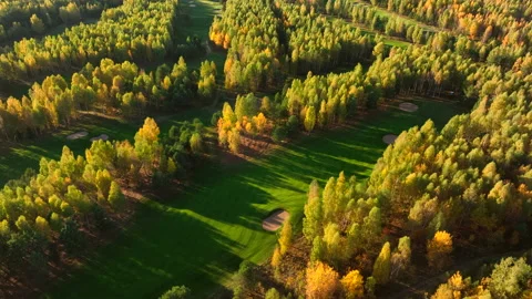Autumn forest. Golf course in Forest fall. Forest in golden colors of autumn. Stock Footage 219899409