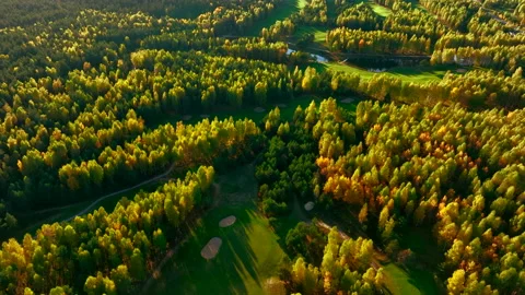 Autumn forest. Golf course in Forest fall. Forest in golden colors of autumn. Stock Footage 219899753