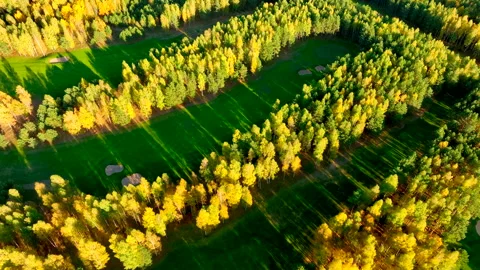 Autumn forest. Golf course in Forest fall. Forest in golden colors of autumn. Stock Footage 219899823